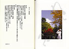 書籍『風に抱かれて～本谷美加子の四国巡礼』の一部内容の写真